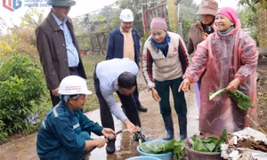 Đặc khu Vân Đồn: Phấn đấu hoàn thành hệ thống cấp nước sạch nông thôn tại khu vực Bình Dân, Đài Xuyên trước Tết Nguyên đán 2026