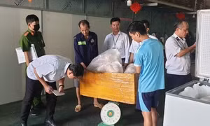 TP.HCM: Phát hiện 2 tấn thịt heo không rõ nguồn gốc, biến đổi màu sắc