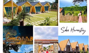 Phát triển du lịch thông minh ở Vân Đồn