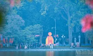 Thời tiết ngày 19/1: Cả nước trời nắng ấm chào mừng ngày khai mạc Đại hội XIV của Đảng
