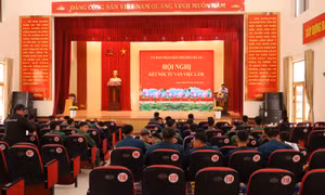 Phường Hà An: Tư vấn, giới thiệu việc làm cho quân nhân hoàn thành nghĩa vụ quân sự