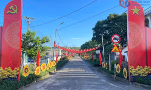 Xã Hải Ninh vững tin đón mùa xuân mới