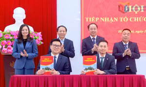 Phường Hồng Gai tiếp nhận tổ chức Đảng, đảng viên