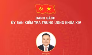 Ủy ban Kiểm tra Trung ương khóa XIV