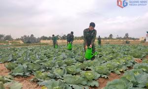 Sẵn sàng cho mùa huấn luyện chiến sĩ mới 