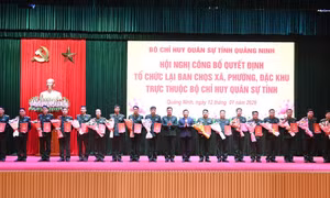 Tổ chức lại Ban CHQS xã, phường, đặc khu trực thuộc Bộ CHQS tỉnh