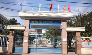 Gia Lai: Đình chỉ cô giáo nghi sửa gần 20 bài thi học sinh từ đúng thành... sai