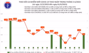 Có 950 ca COVID-19 mới trong ngày 1/6