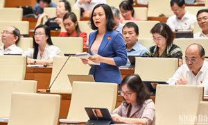Quy định rõ vai trò, nhiệm vụ của lực lượng tham gia bảo vệ an ninh, trật tự ở cơ sở