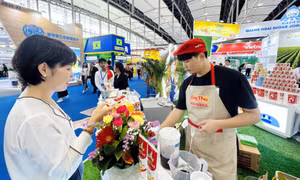 Hàng Việt chinh phục thị trường Trung Quốc