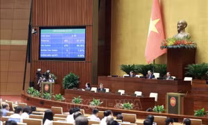Phân bổ hơn 1.208 tỷ đồng vốn ngân sách Trung ương của các chương trình mục tiêu quốc gia