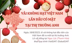 Các loại trái cây Việt Nam được xuất khẩu sang thị trường Anh