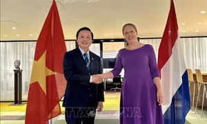 Phó Thủ tướng Trần Hồng Hà thăm và làm việc tại Hà Lan