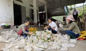 Đổi thay ở Vạn Yên