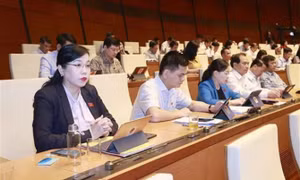 Quốc hội xem xét thông qua 8 dự án luật trong tuần cuối Kỳ họp thứ 5