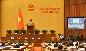Đề xuất tích hợp nhiều loại giấy tờ vào thẻ căn cước