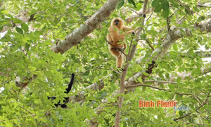 Bài 2: Trách nhiệm không của riêng ai 