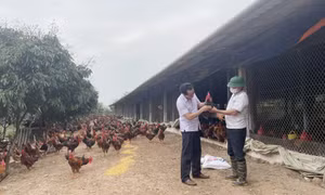 Khởi đầu cho giai đoạn mới 