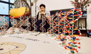 Phát hiện cơ chế tổng hợp RNA có thể can thiệp trị nhiều bệnh ở người
