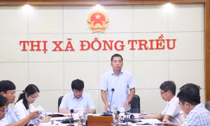 Họp Ban tổ chức Hội bơi vượt sông truyền thống Bạch Đằng lần thứ 45 năm 2023