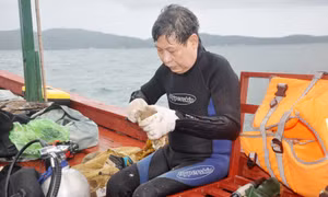 “Rong biển góp phần làm sạch nước và giúp nuôi trồng thuỷ sản bền vững”
