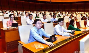 Quy định giá trần với mặt hàng sách giáo khoa và dịch vụ vận chuyển hành khách hàng không nội địa