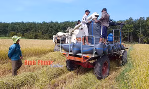 Bình yên một dải biên cương