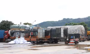 Bình Liêu đẩy mạnh phục hồi kinh tế cửa khẩu 