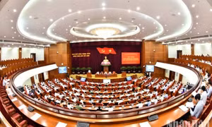 Tập trung chỉ đạo xử lý dứt điểm những khâu yếu, việc khó, điểm nghẽn trong phòng, chống tham nhũng, tiêu cực