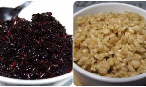 Cơm rượu nếp có tác dụng gì?