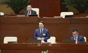 Kỳ họp thứ 5, Quốc hội khóa XV: Chất vấn nhóm vấn đề thuộc lĩnh vực Dân tộc