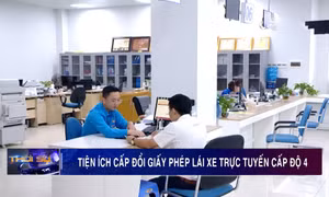 Tiện ích cấp đổi GPLX trực tuyến cấp độ 4