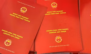 Đường dây làm giấy tờ giả thu lợi hơn 20 tỷ đồng
