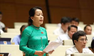 Tự chủ giáo dục đại học, đổi mới chương trình, sách giáo khoa cần mang tính chiến lược