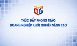 Thúc đẩy phong trào doanh nghiệp khởi nghiệp sáng tạo