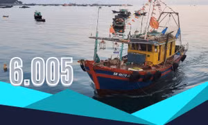 6.005 - là số tàu cá toàn tỉnh Quảng Ninh hiện nay