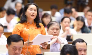 Đẩy nhanh tiến độ lập, thẩm định quy hoạch