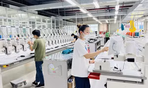 Chăm lo sức khỏe cho người lao động mùa nắng nóng