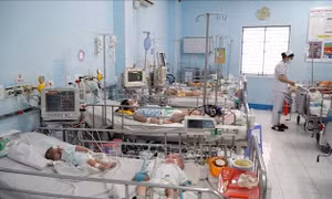 Bệnh tay chân miệng xuất hiện virus EV71 gây bệnh nặng, Bộ Y tế yêu cầu tập trung phòng dịch