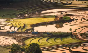 Ruộng bậc thang Lào Cai mùa nước đổ