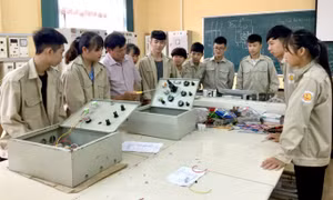 Giảm 287 cơ sở giáo dục nghề nghiệp công lập