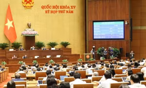 Nâng thời hạn tạm trú đối với người nước ngoài lên 45 ngày