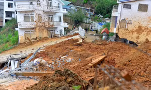 Đình chỉ công tác Trưởng phòng Quản lý đô thị Đà Lạt