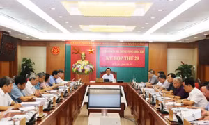 Ủy ban Kiểm tra TW thi hành kỷ luật một số tổ chức đảng, đảng viên