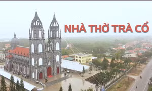 Nhà thờ Trà Cổ