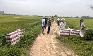Đảm bảo đường đi phục vụ sản xuất nông nghiệp