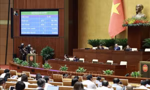 Kỳ họp thứ 5, Quốc hội khóa XV: Thông qua Nghị quyết về việc lấy phiếu tín nhiệm