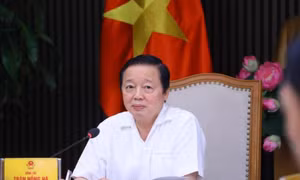 Cần có các cơ chế sáng tạo trong thí điểm năng lượng mặt trời, năng lượng tái tạo