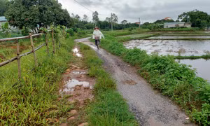 Đầu tư đường giao thông ở Hải Yên