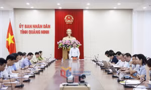 Thu ngân sách nhà nước 5 tháng năm 2023 đạt hơn 24.100 tỷ đồng